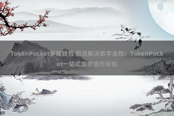 TokenPocket多链钱包 粗浅解决数字金钱：TokenPocket一站式加密货币钱包