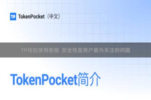 TP钱包使用教程 安全性是用户最为关注的问题